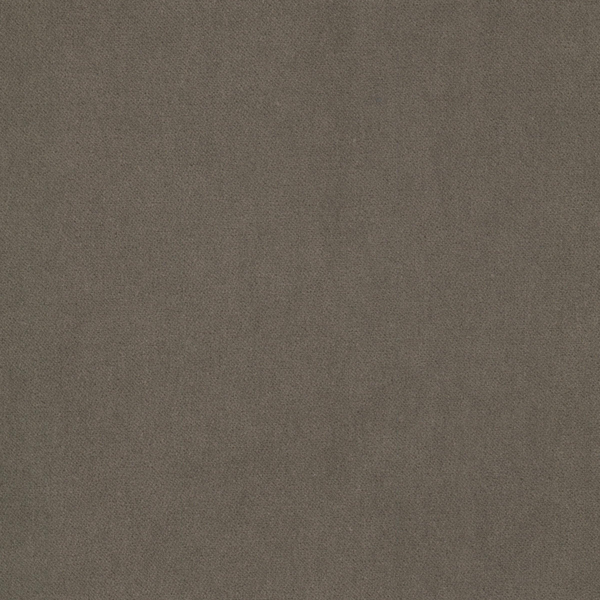 STOUT JOSTLE 2 NUT Fabric | Atlanta Fabrics