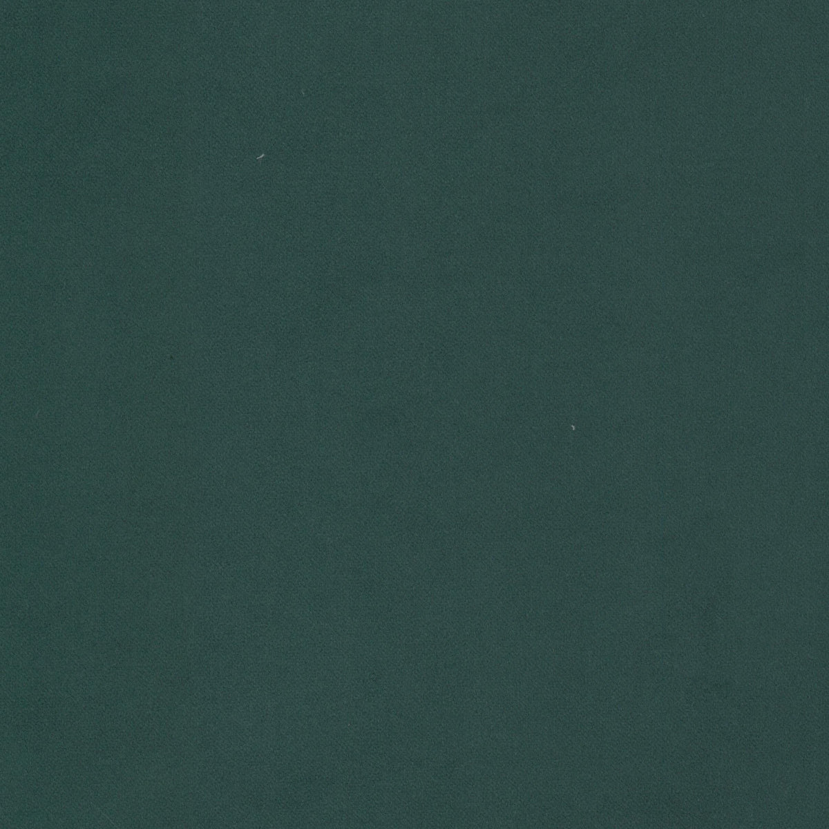 JOSTLE 6 EVERGREEN