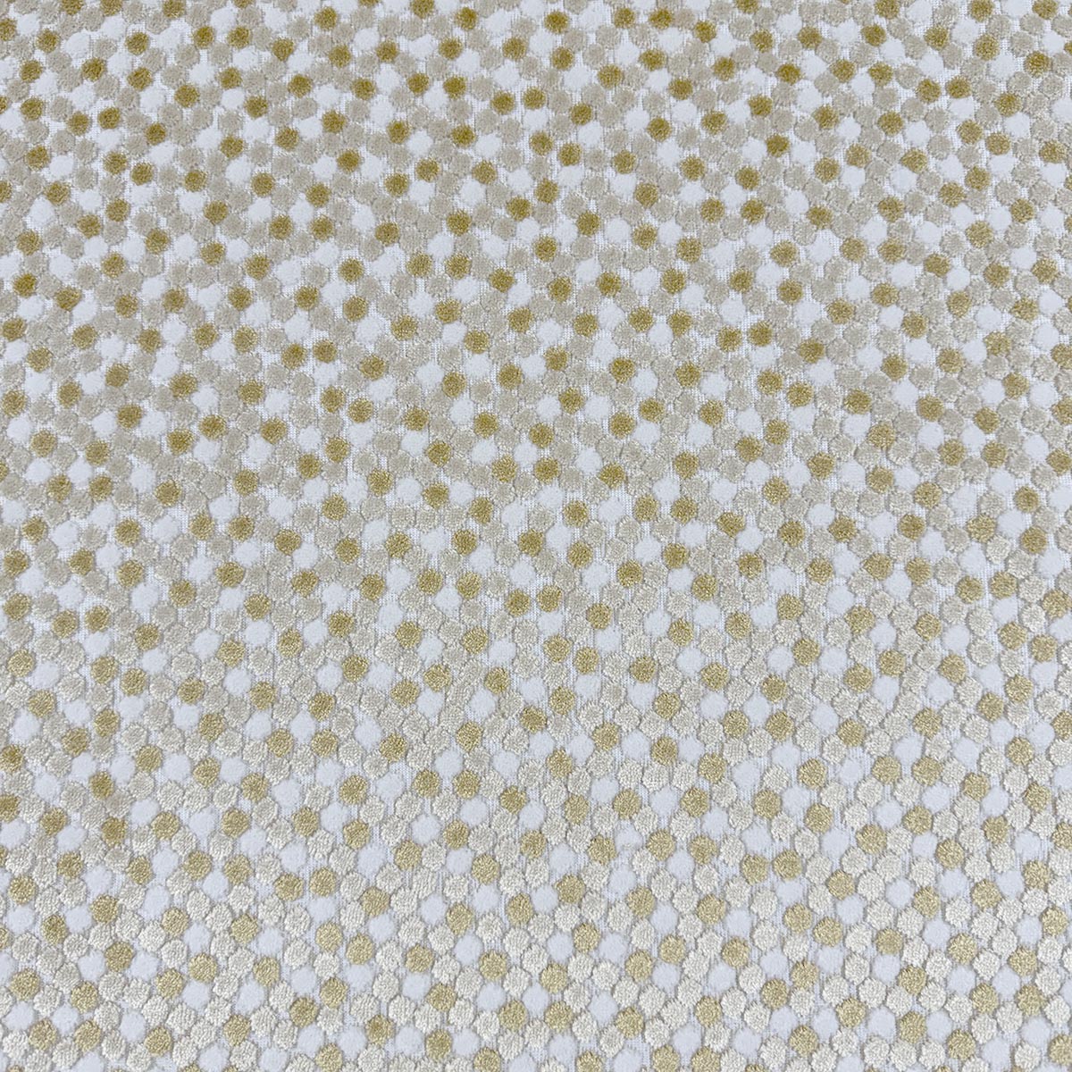 MagFabrics JOVIE GOLD  | Atlanta Fabrics