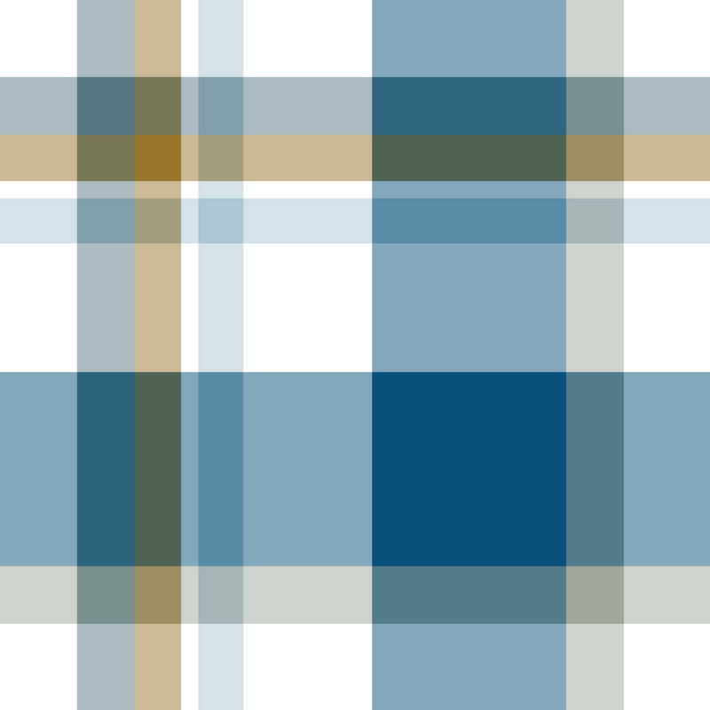William West Designs Johns Plaid Cadet Fabric | Atlanta Fabrics