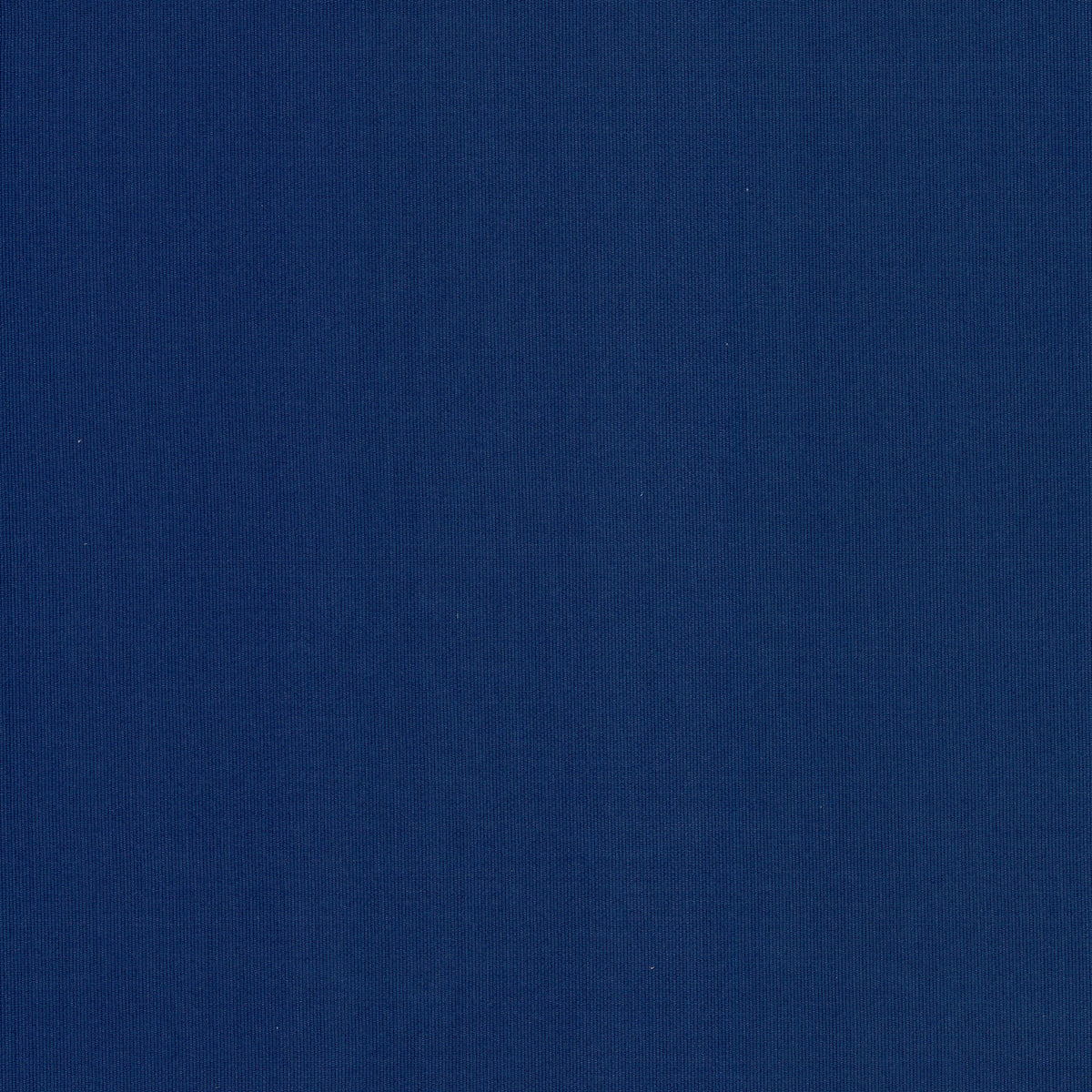 KAKAPI 1 DELFT