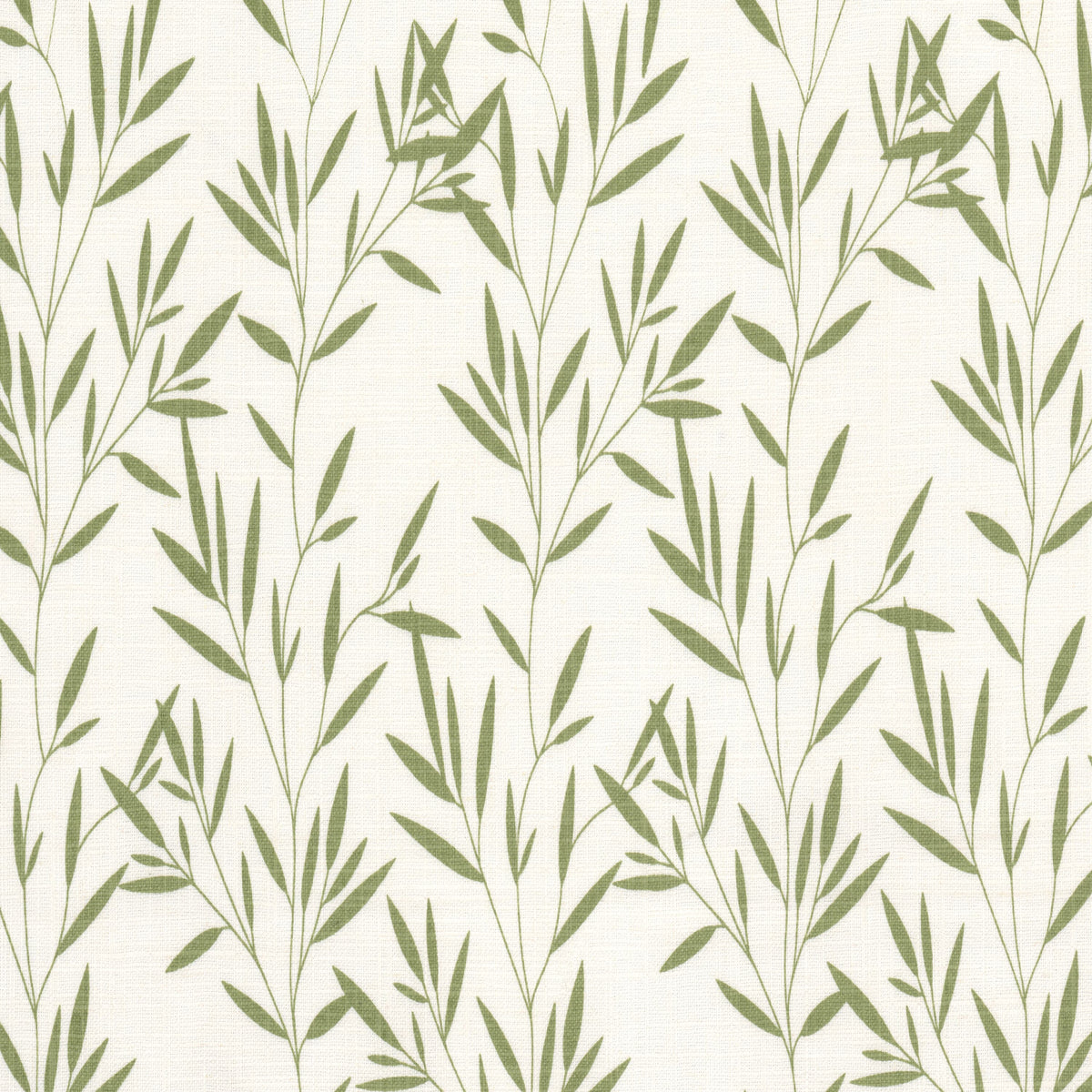 KANAKA 1 GRASS