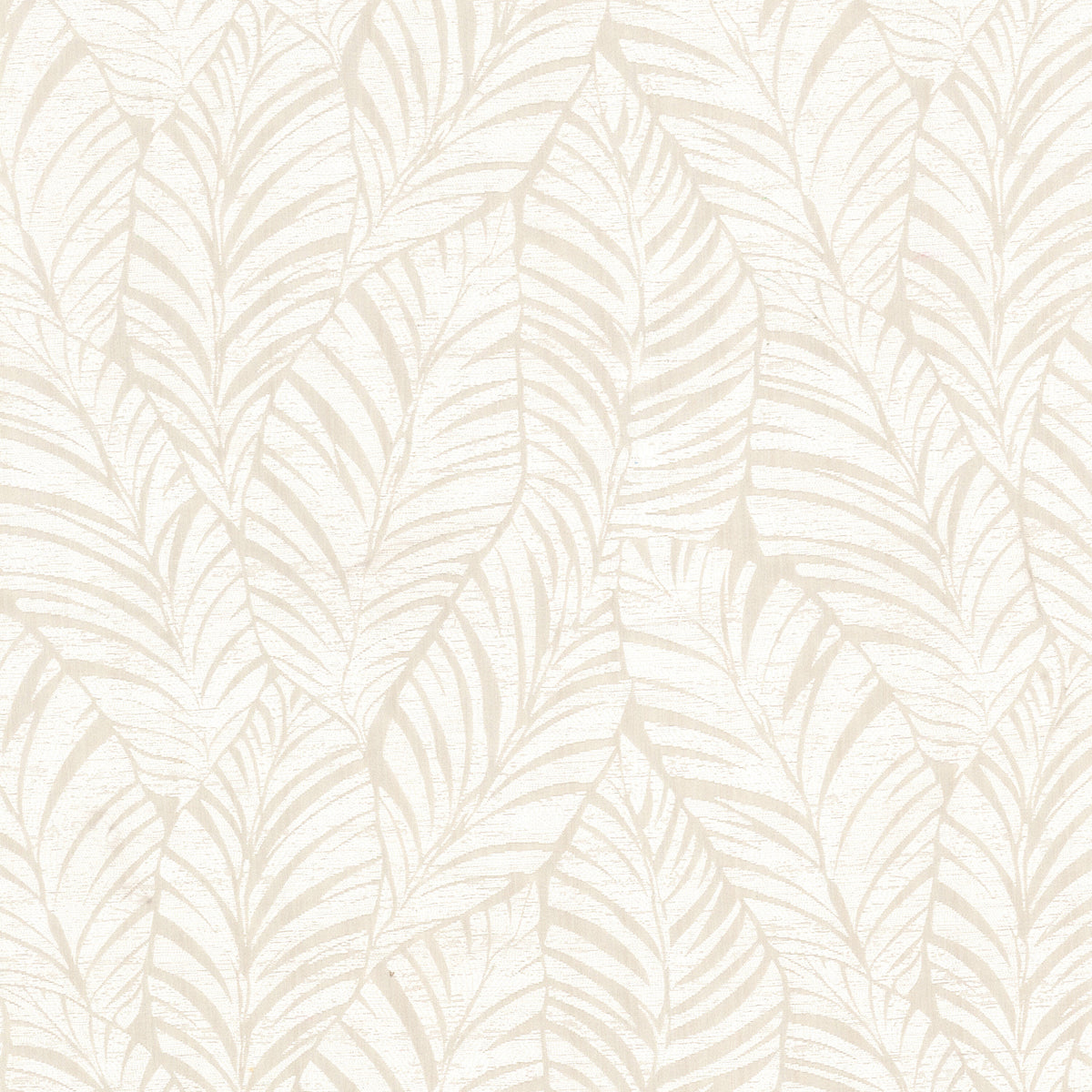 KENNETH 1 PARCHMENT
