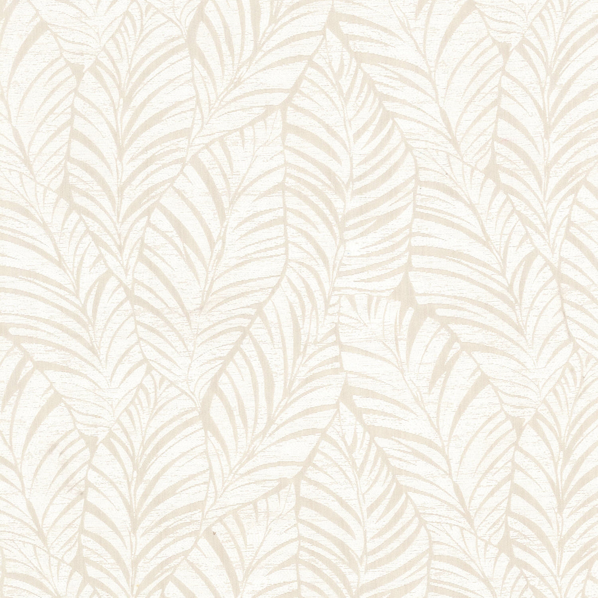 KENNETH 1 PARCHMENT