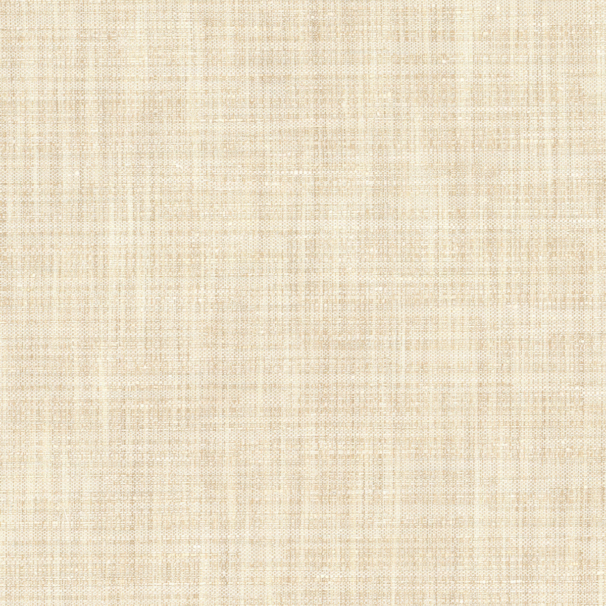 KIMBERLY 1 CHAMPAGNE