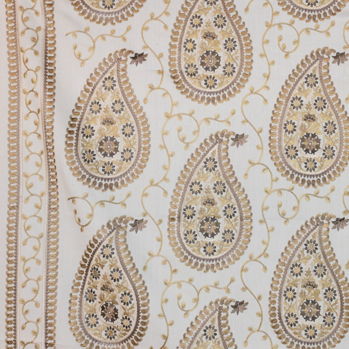 Kadiri Paisley Border Latte