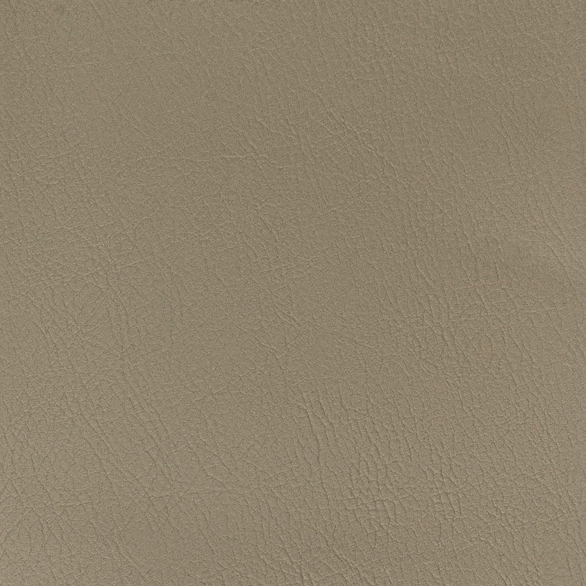 LANISTER 7 PEWTER
