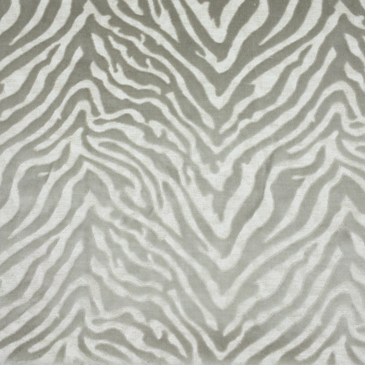LAROSA 1 PLATINUM