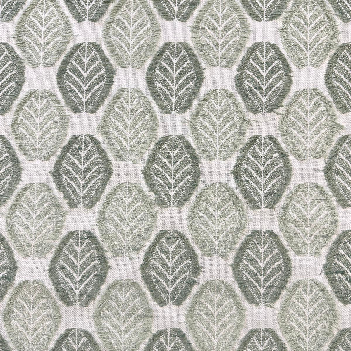 LEIF PISTACHIO