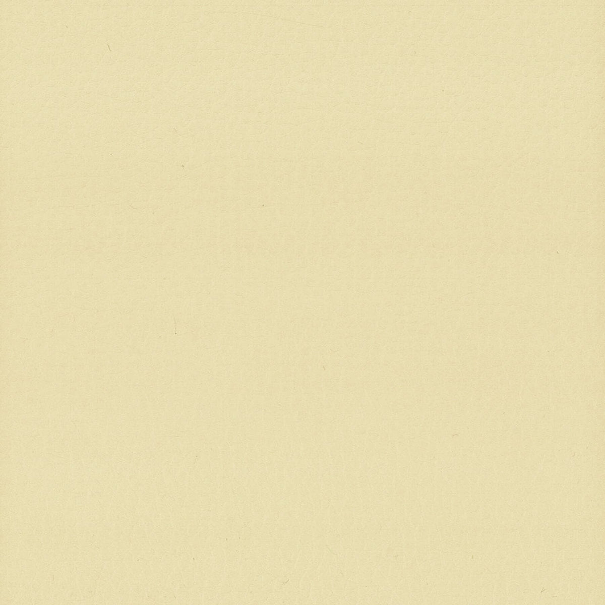 STOUT LODGE 9 CHAMOIS Fabric | Atlanta Fabrics