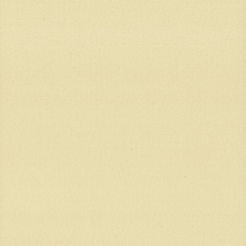STOUT LODGE 9 CHAMOIS Fabric | Atlanta Fabrics