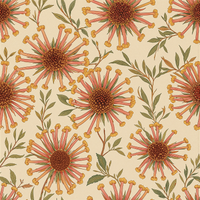 Lanceleaf Blanketflower Burgundy