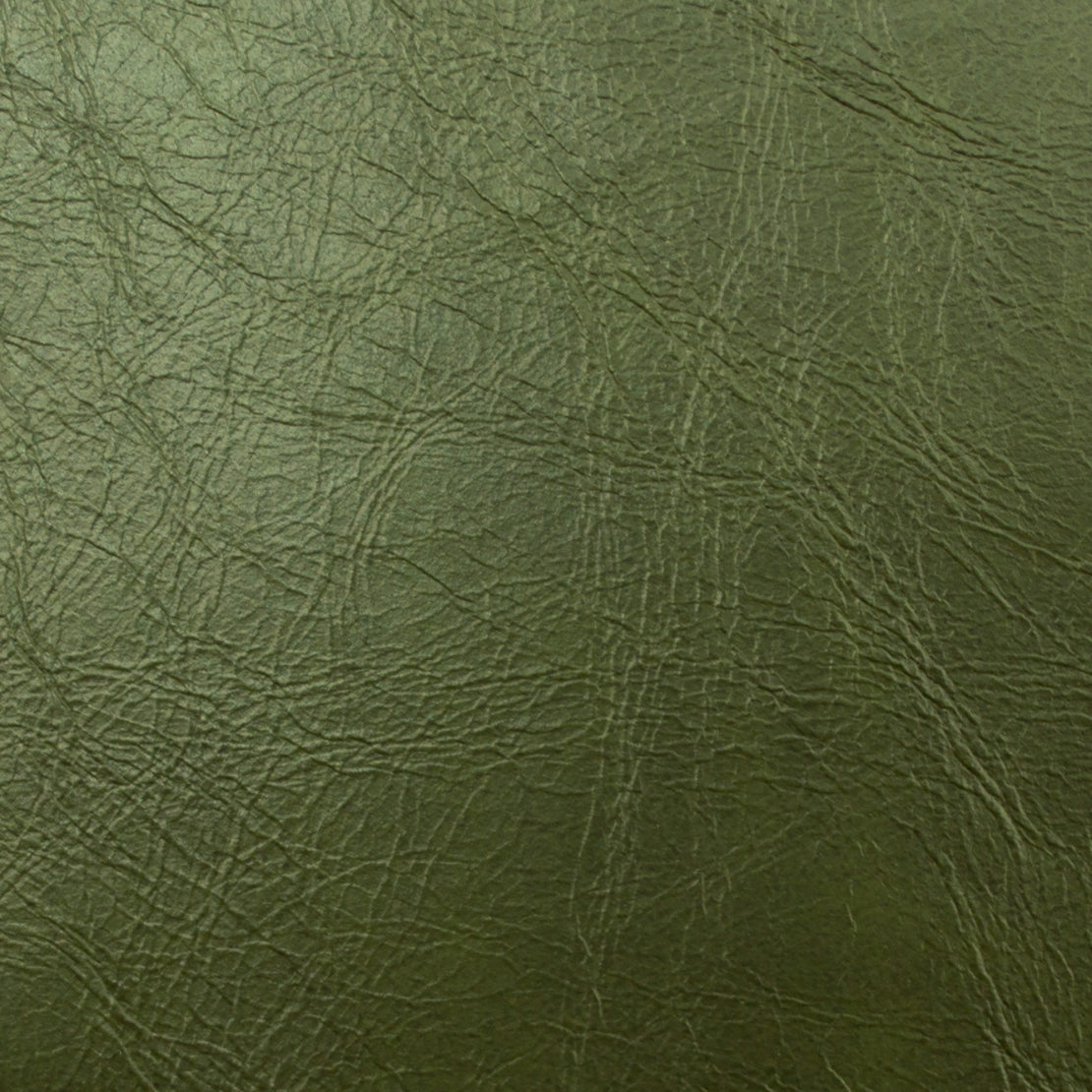MagFabrics MILES CACTUS Fabric | Atlanta Fabrics
