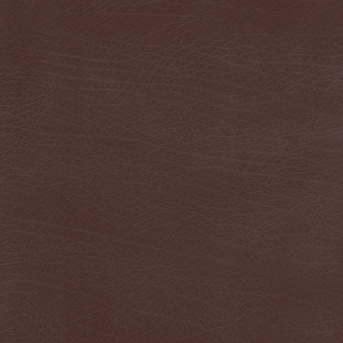 STOUT MOHAVE 1 ESPRESSO Fabric | Atlanta Fabrics
