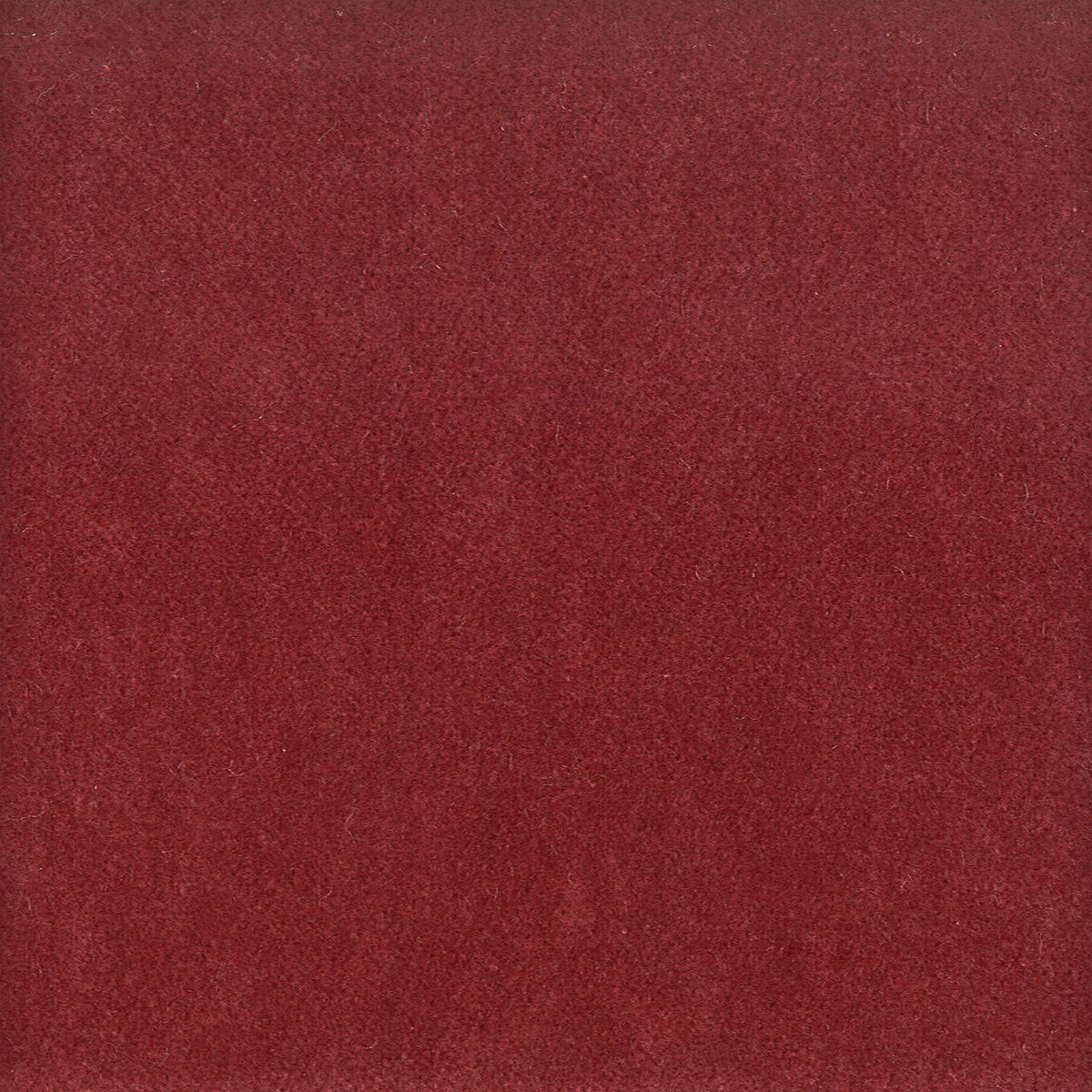 MOORE 11 BEET