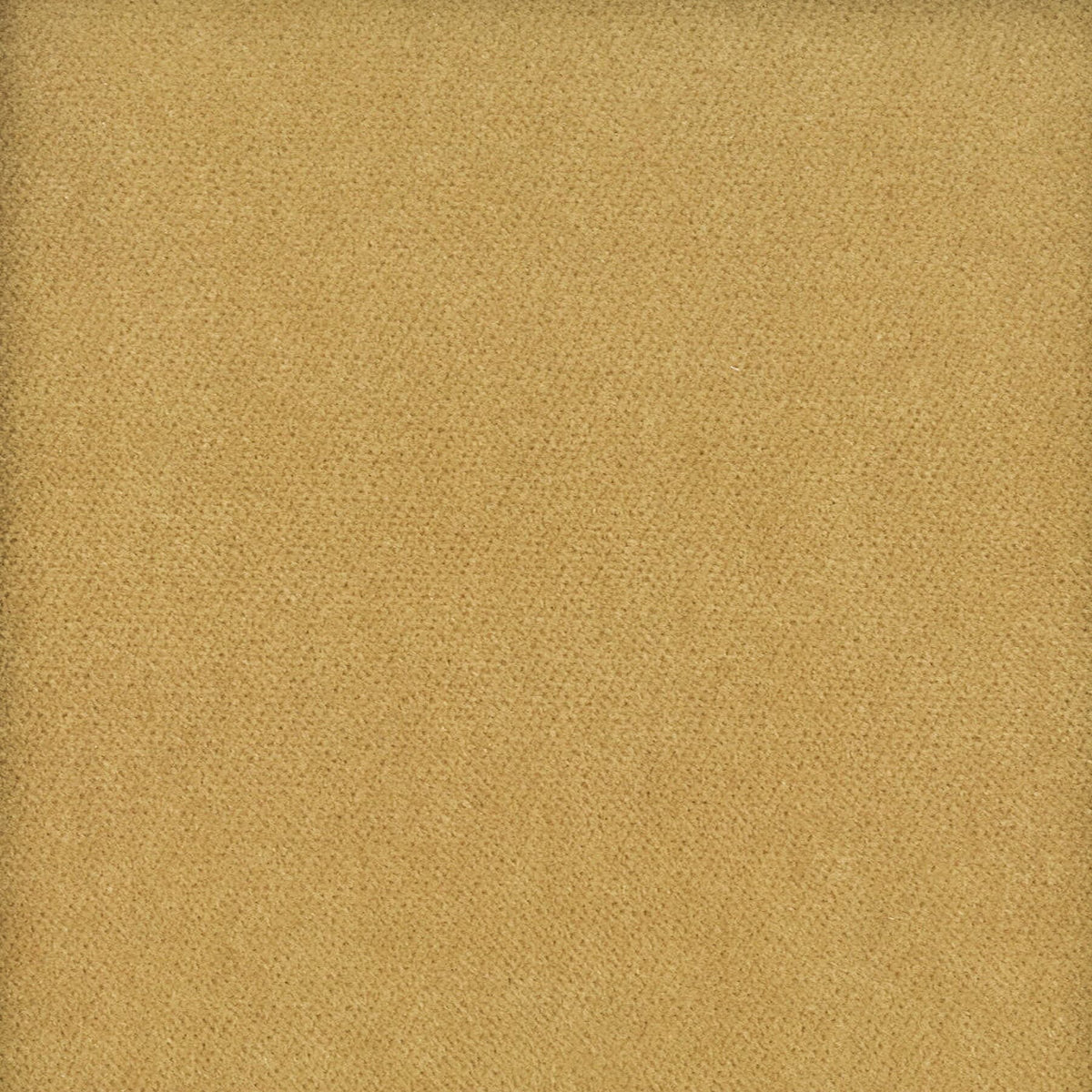 MOORE 1 CARAMEL