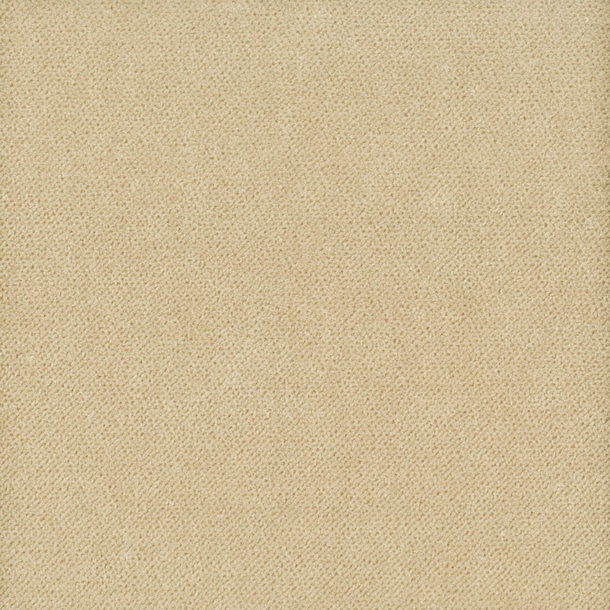 STOUT MOORE 28 DESERT Fabric | Atlanta Fabrics