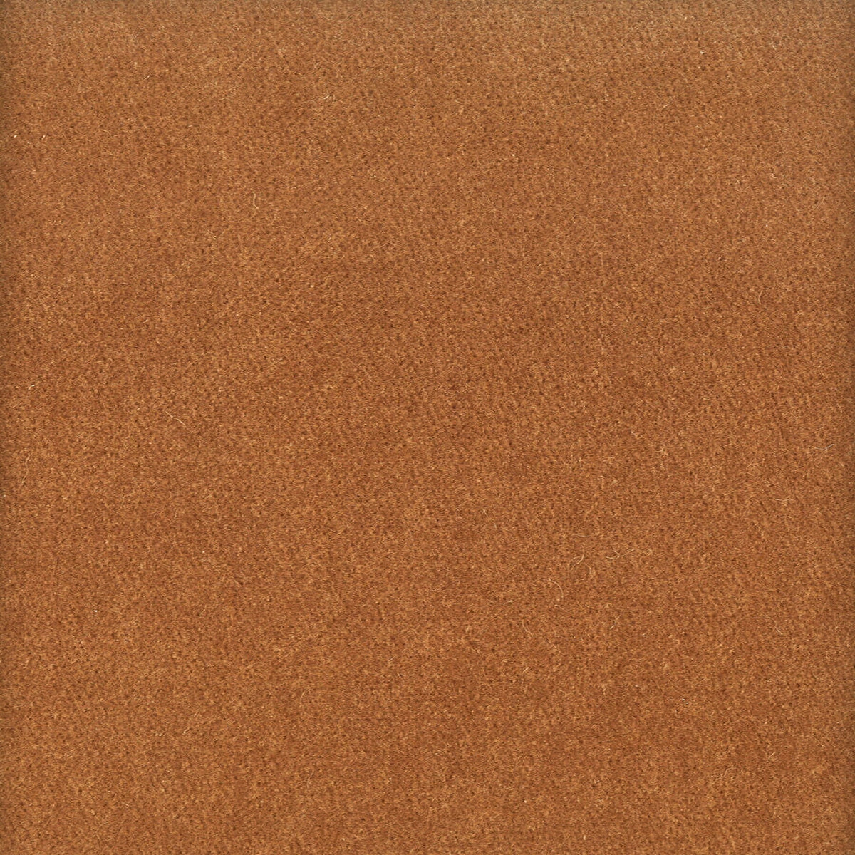 MOORE 40 CINNAMON