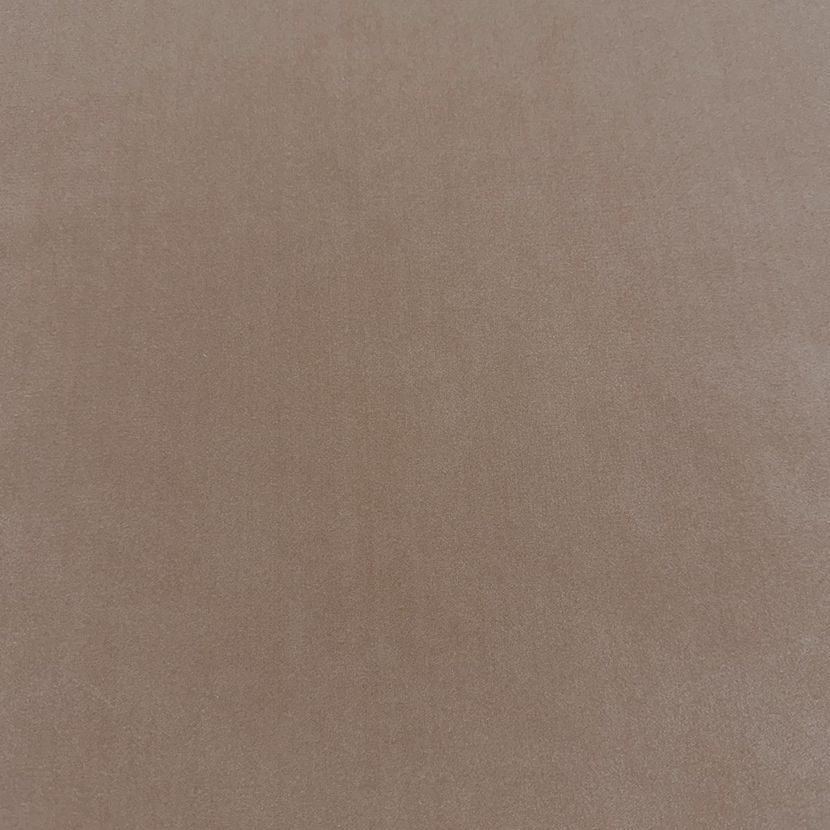 MagFabrics MOYRA BALLET  | Atlanta Fabrics