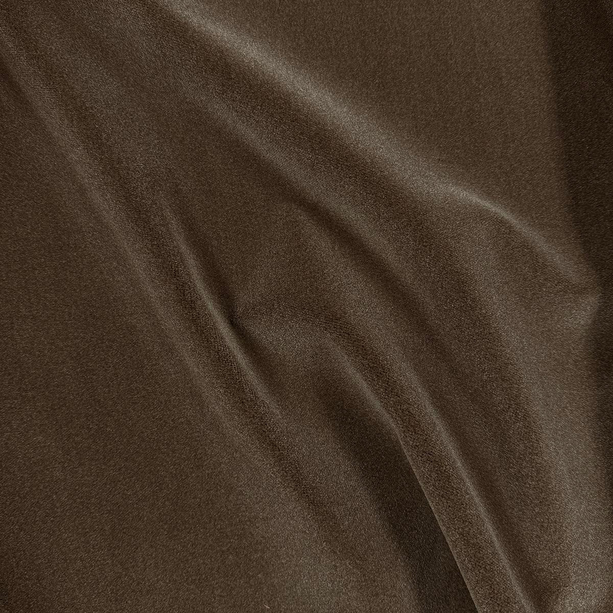 MOYRA MOCHA