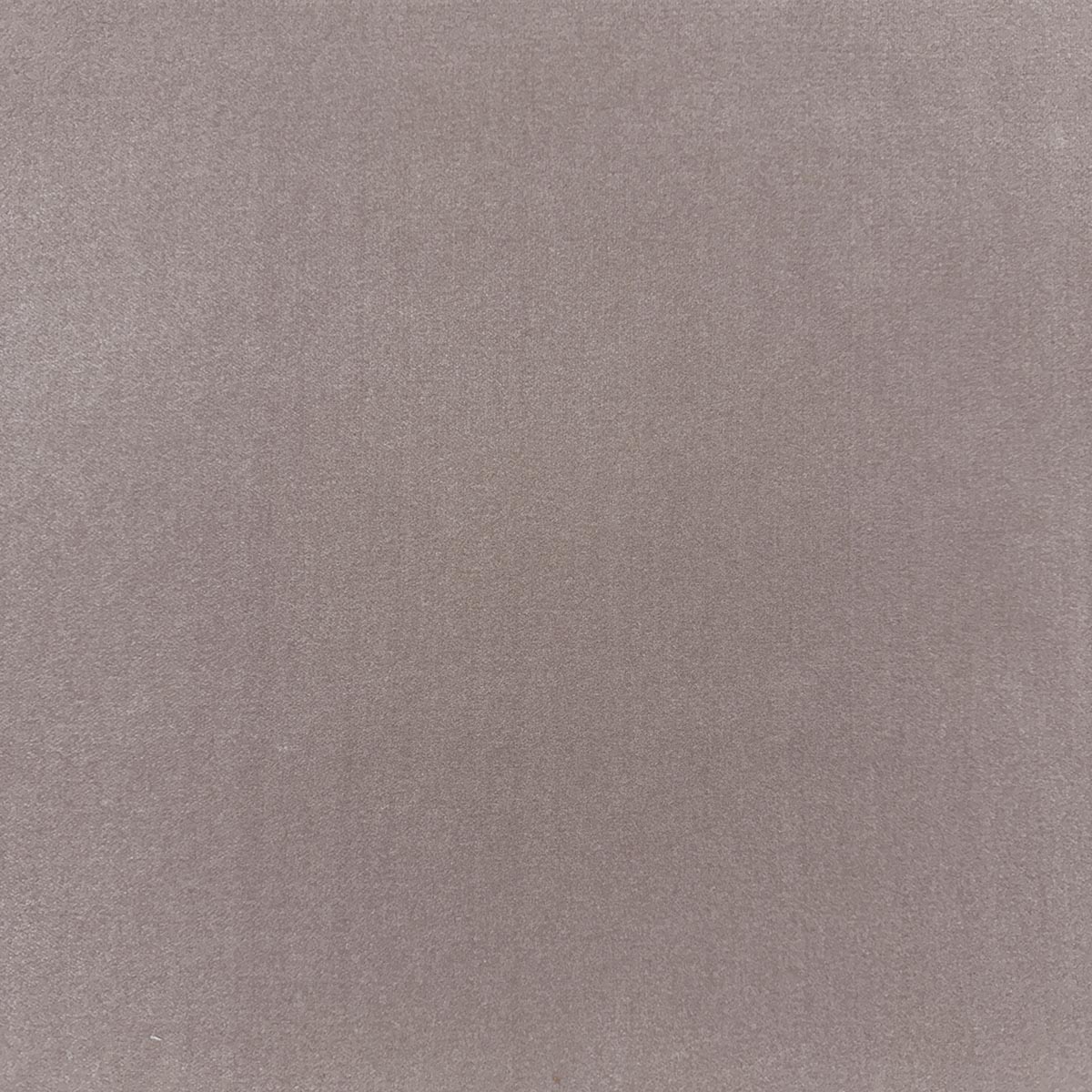 MagFabrics MOYRA THISTLE  | Atlanta Fabrics