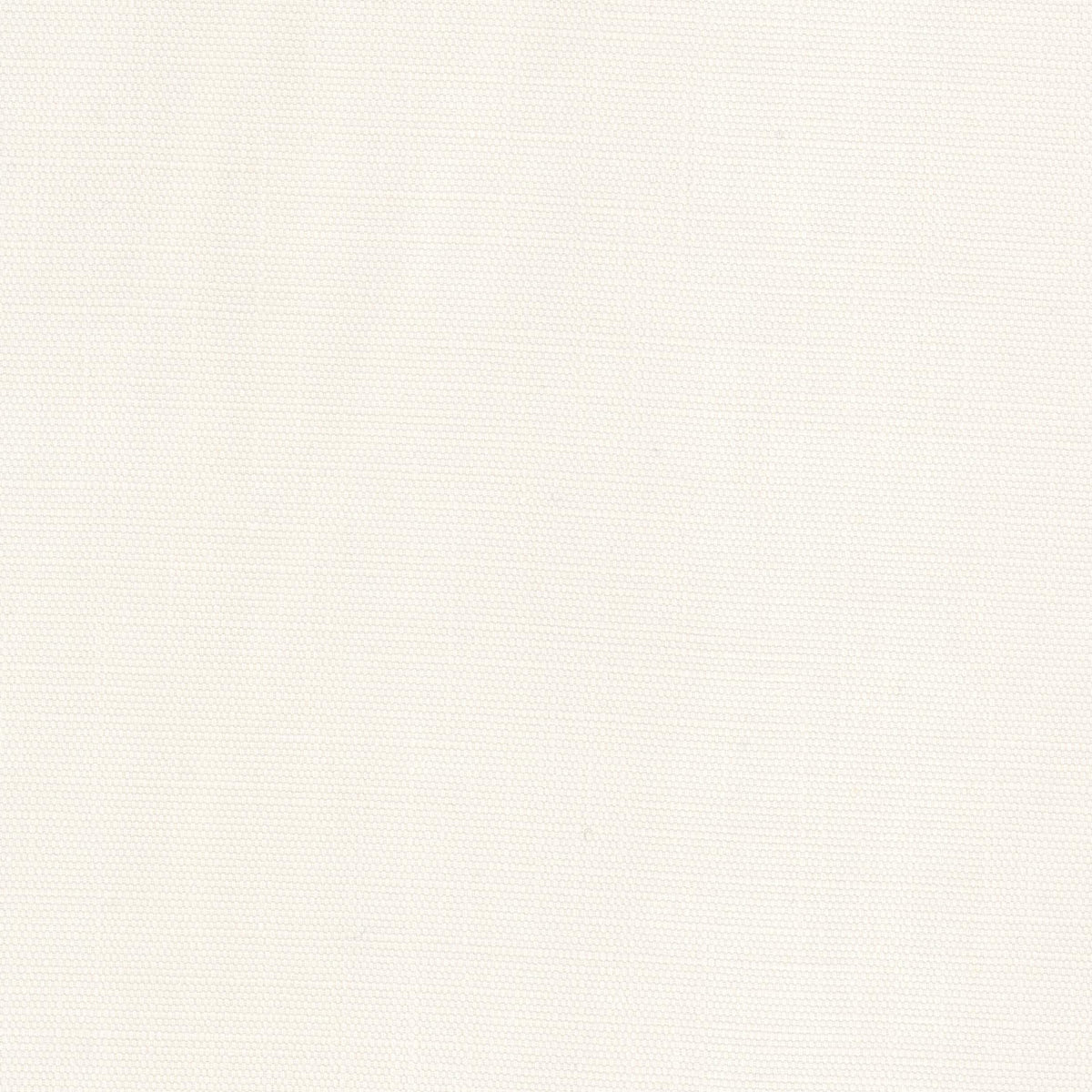 STOUT MUGO 1 PEARL Fabric | Atlanta Fabrics