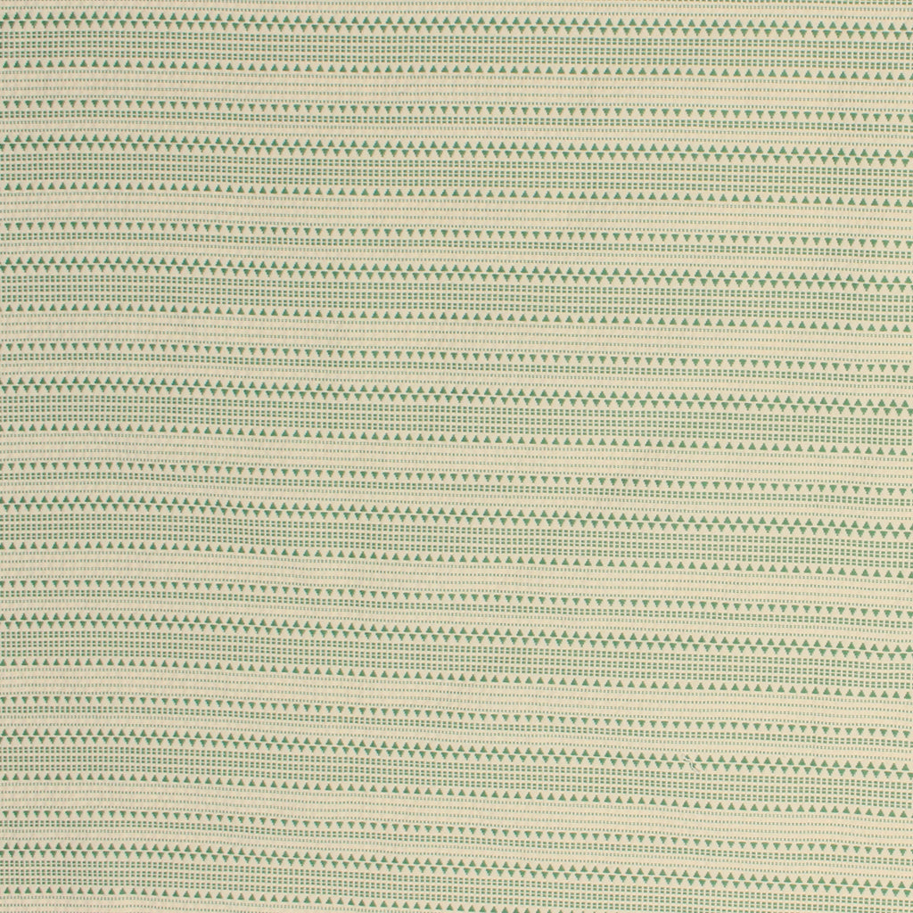 MONTEZUMA STRIPE / GRASS