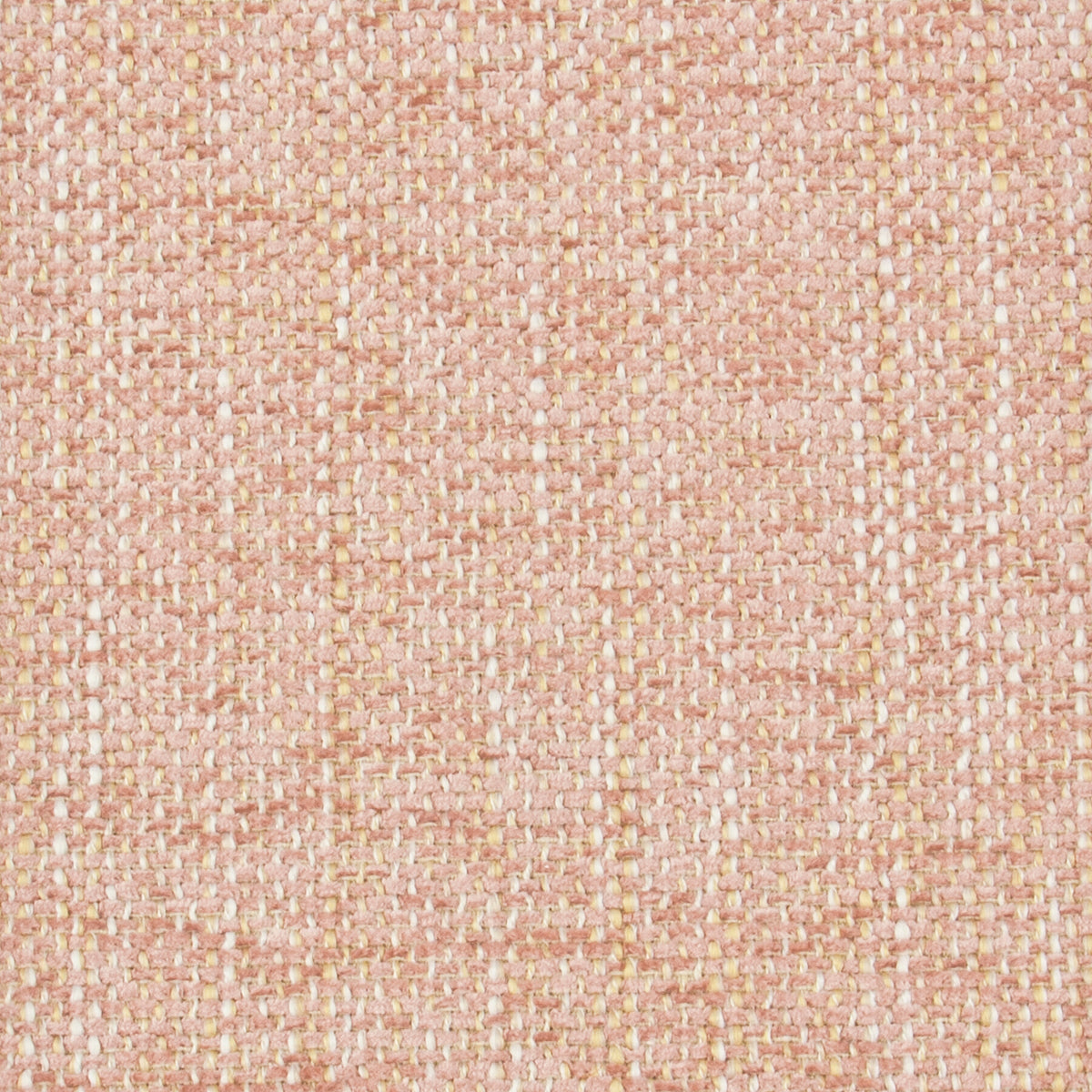 NARBETH 1 BLOSSOM