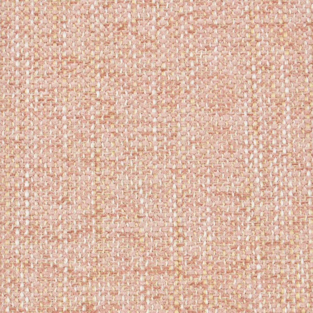 NARBETH 1 BLOSSOM