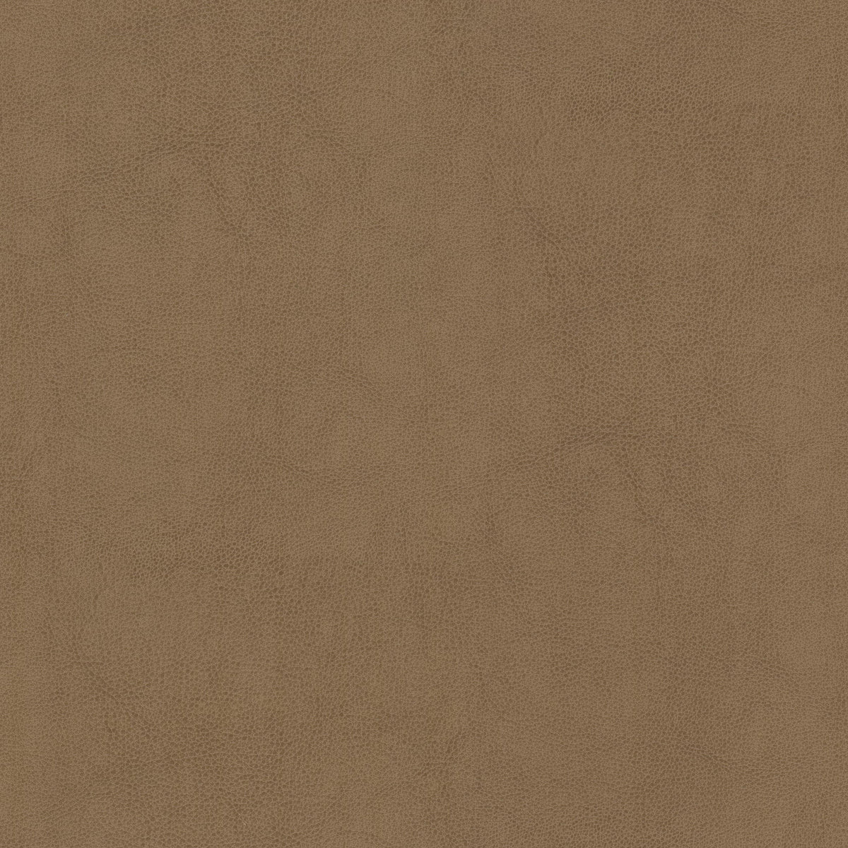 STOUT NARCISSUS 2 BUTTERUM Fabric | Atlanta Fabrics