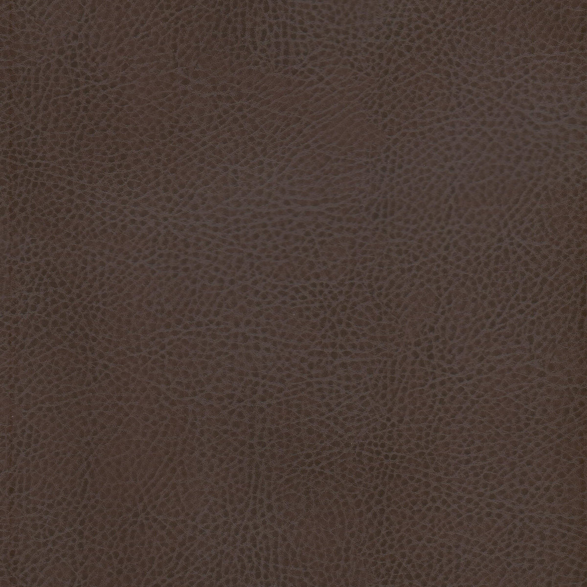 ODEAN 1 JAVA