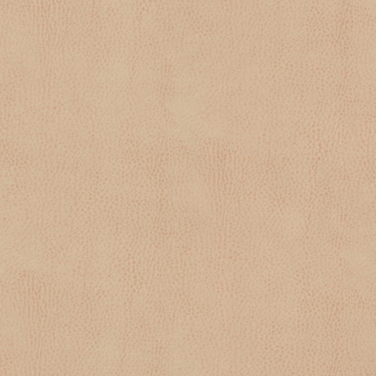 STOUT ODEAN 4 SESAME Fabric | Atlanta Fabrics