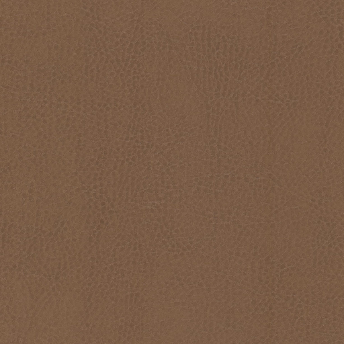 ODEAN 5 SADDLE