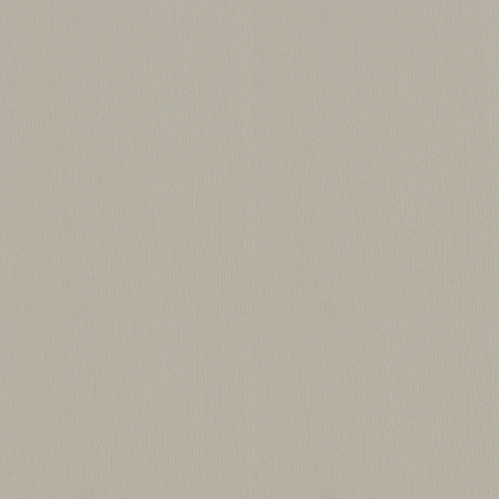 PETCHA DOVE