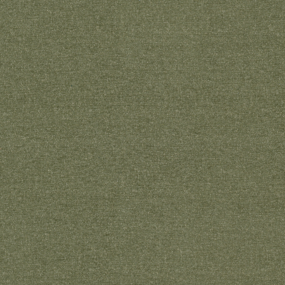 PISA 5 OLIVE