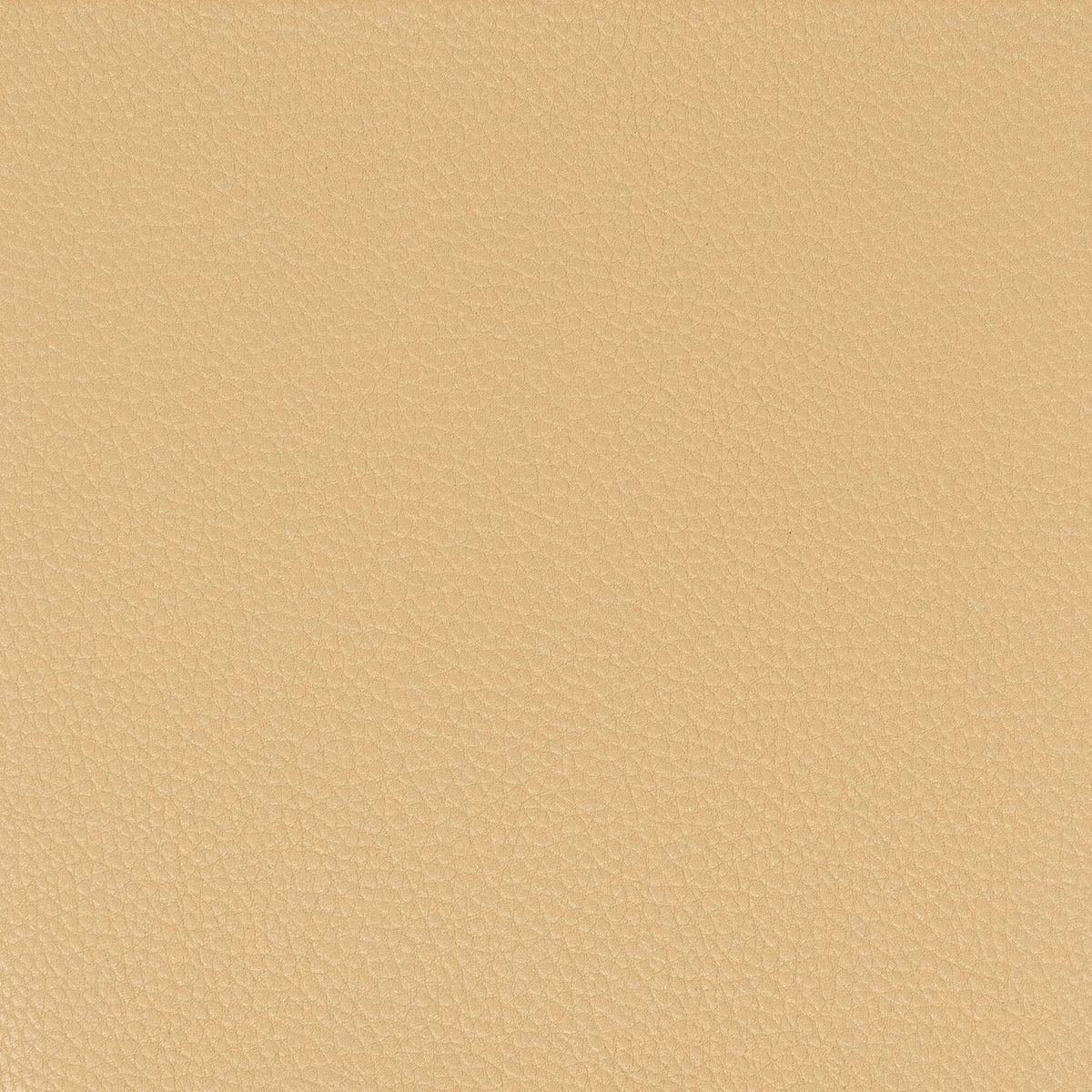 STOUT PITCHER 6 CAMEL Fabric | Atlanta Fabrics