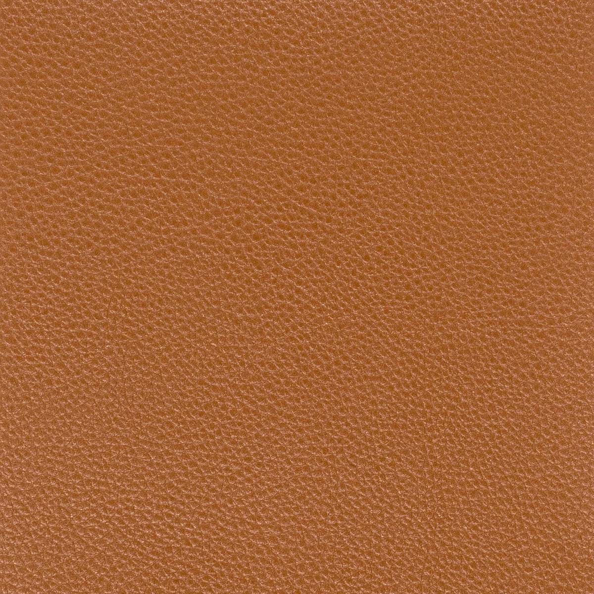 STOUT PITCHER 7 SADDLE Fabric | Atlanta Fabrics