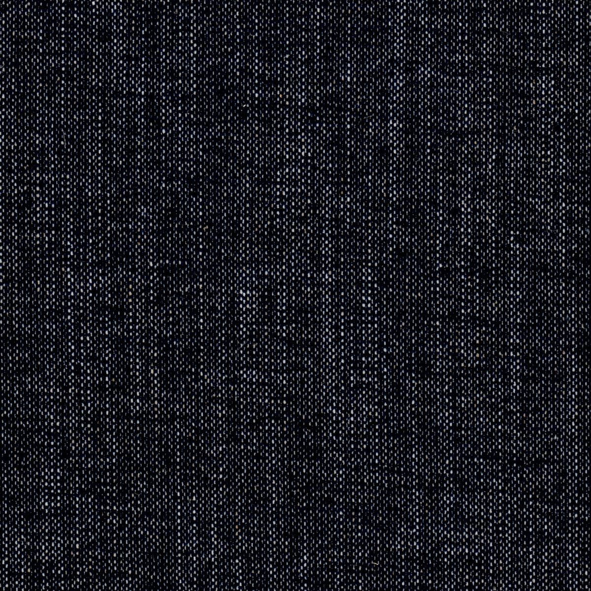 POLENTA 6 NAVY