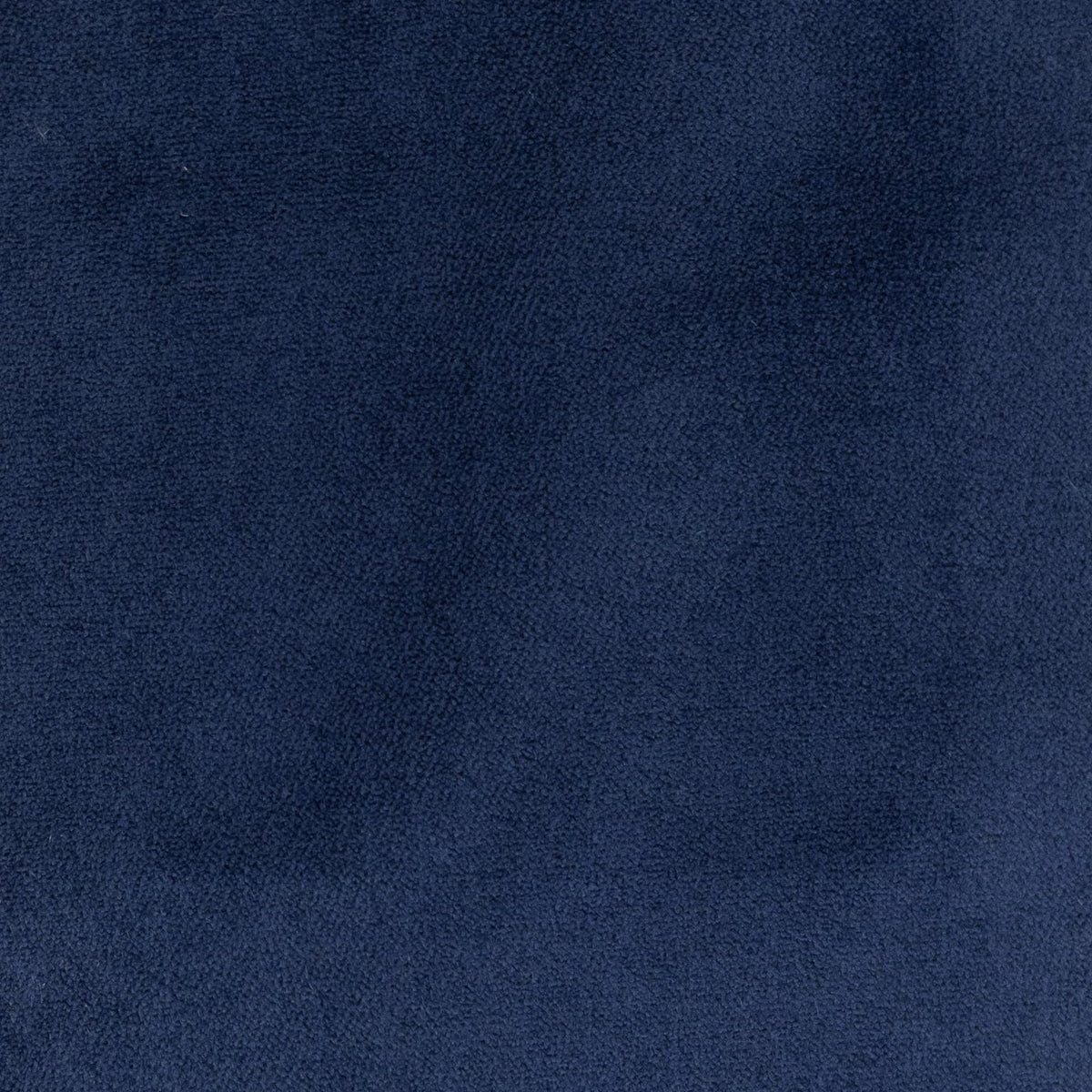 STOUT PREMIER 8 ROYAL Fabric | Atlanta Fabrics
