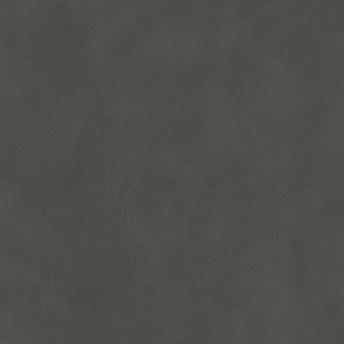 STOUT PSYCH 3 CHARCOAL Fabric | Atlanta Fabrics