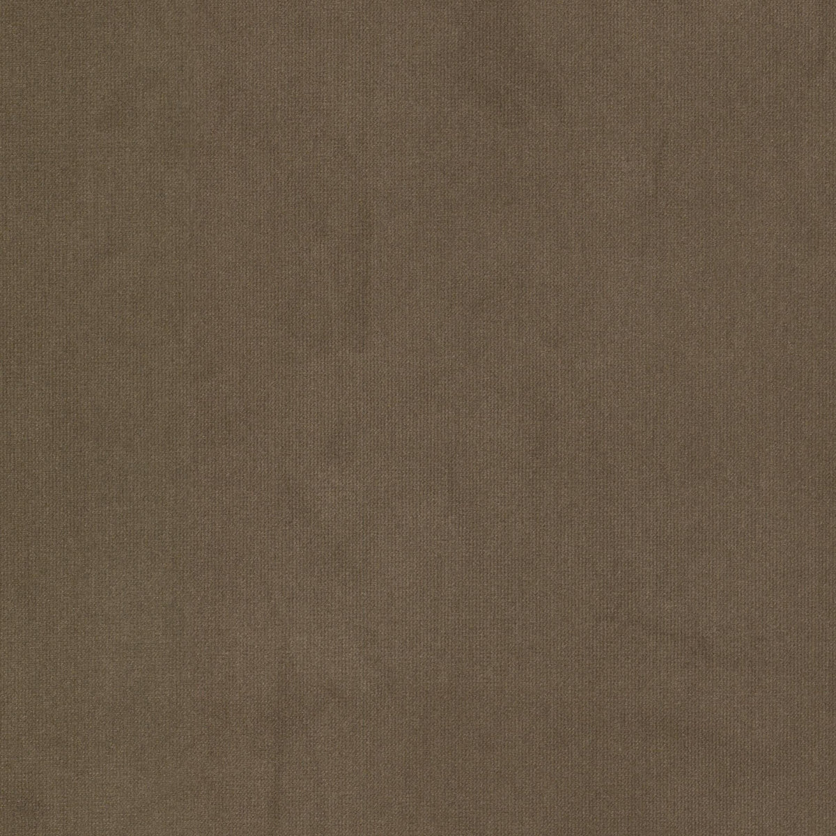 STOUT QUEEN 2 COCOA Fabric | Atlanta Fabrics