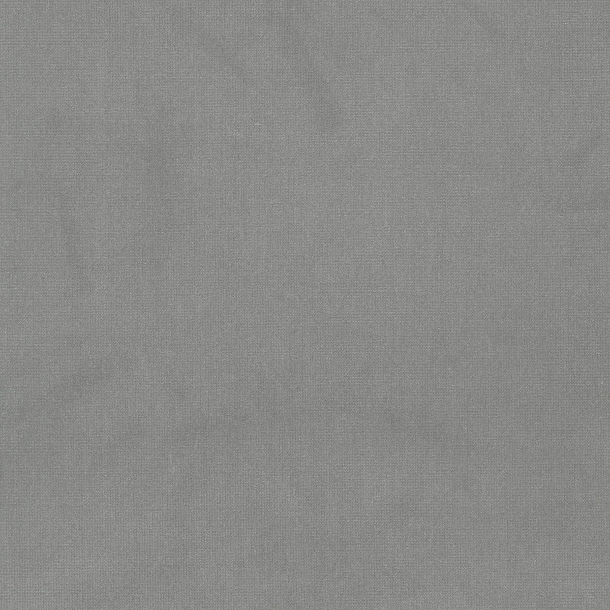 STOUT QUEEN 21 NICKEL Fabric | Atlanta Fabrics