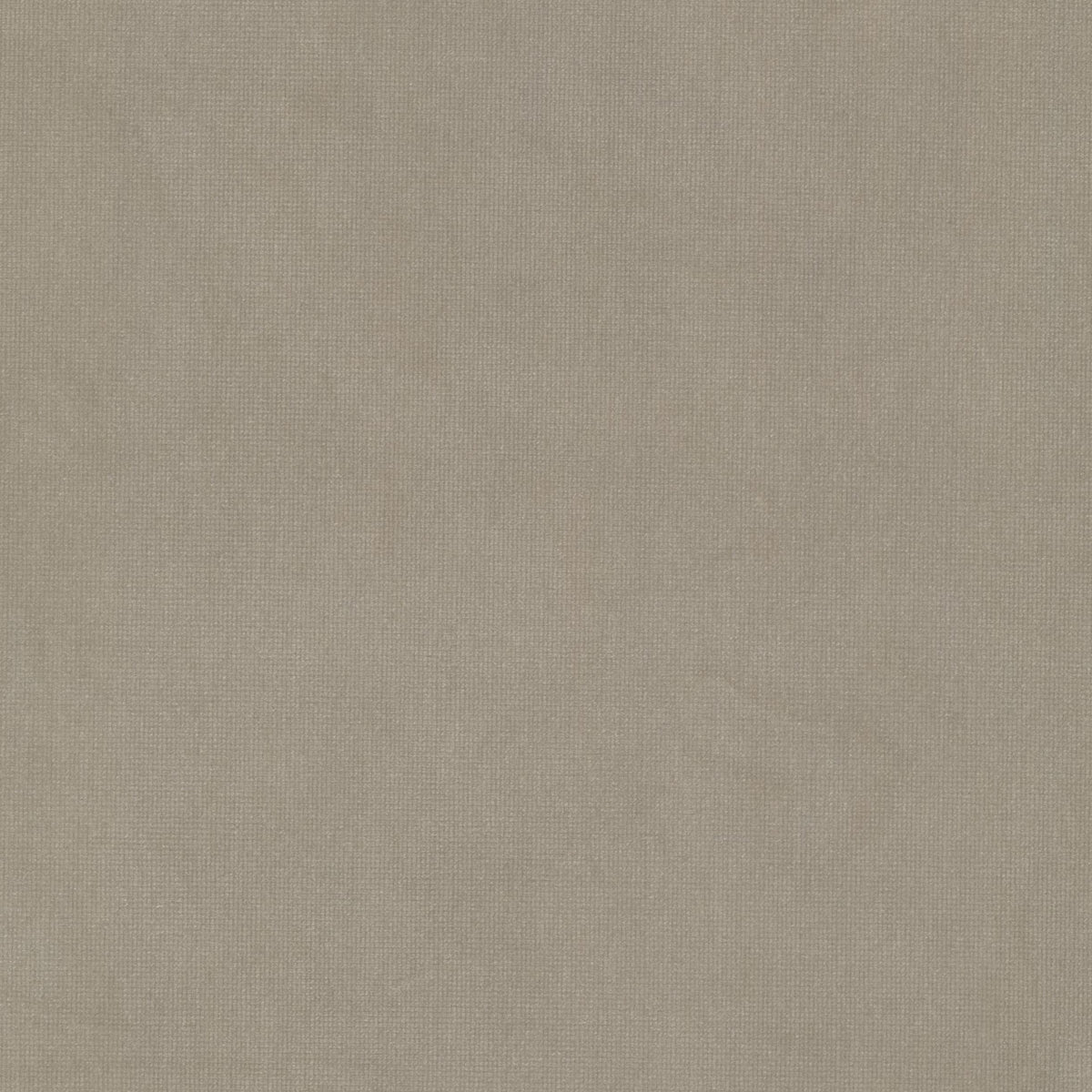 QUEEN 23 BEIGE