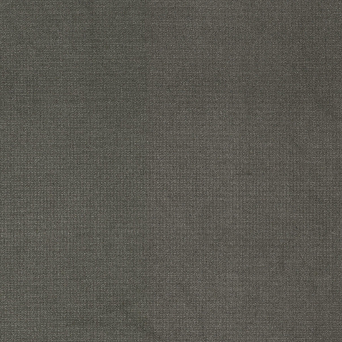 STOUT QUEEN 3 SHADOW Fabric | Atlanta Fabrics