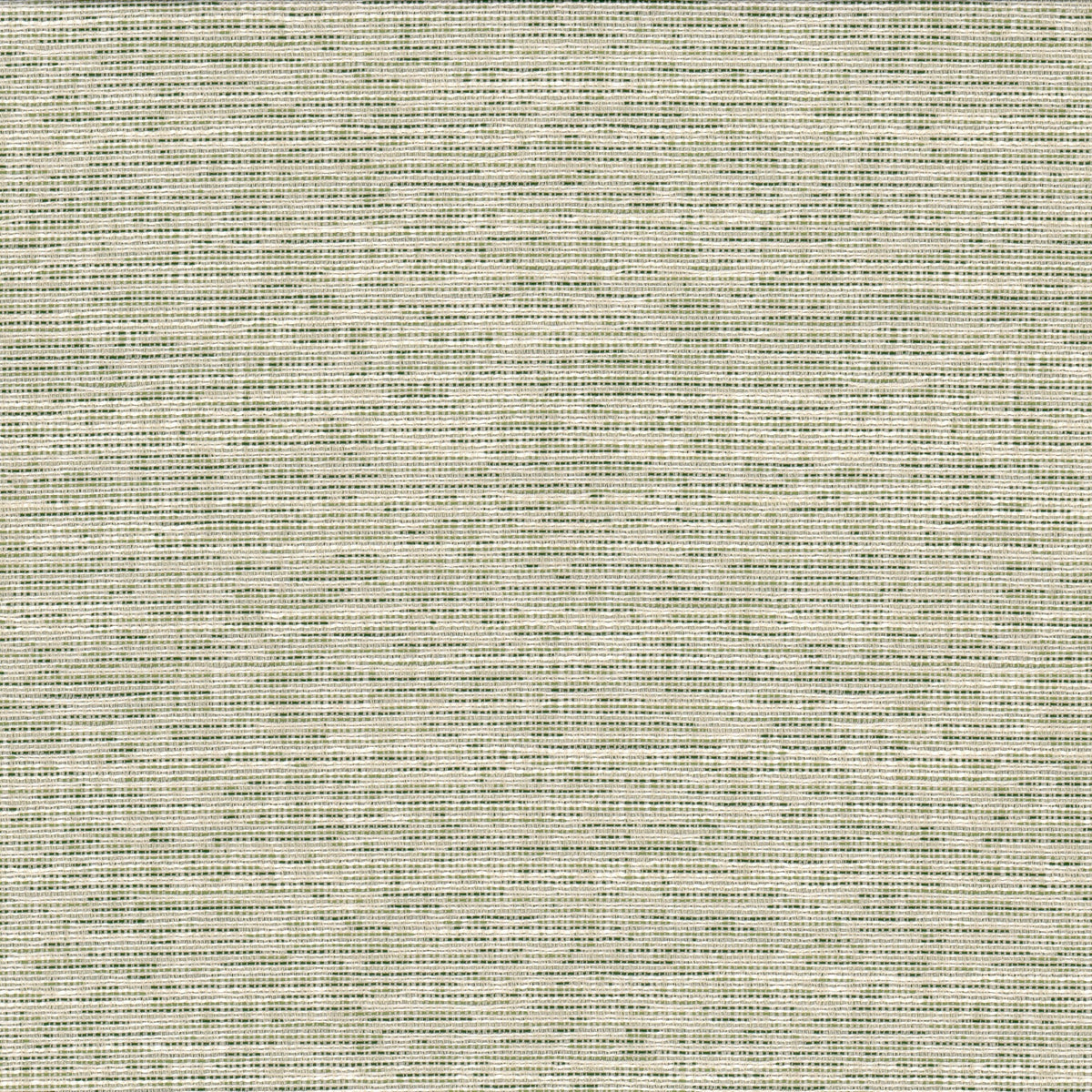 RECORD 1 GRASS