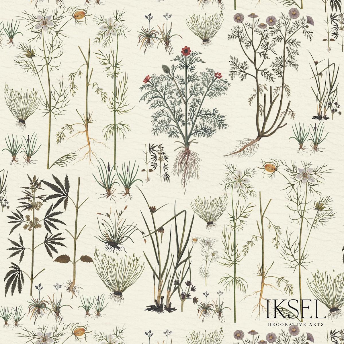 HERBIER WHITE