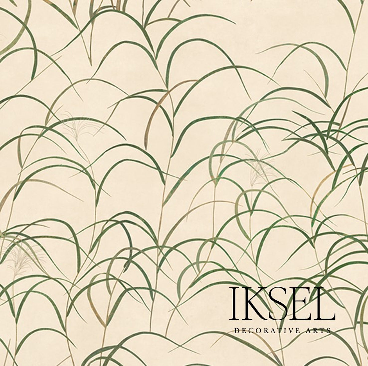 JAPANESE GRASS RICE