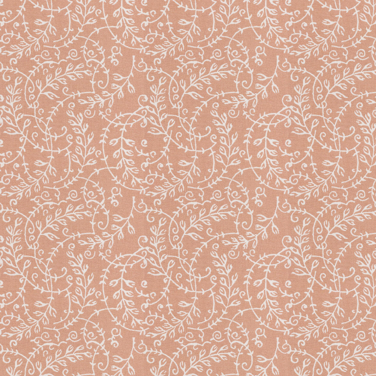 RHUMBA 3 TIGERLILY
