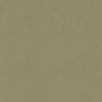 MagFabrics ROOKER MOSS  | Atlanta Fabrics