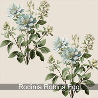 SIDE PANEL - Rodinia